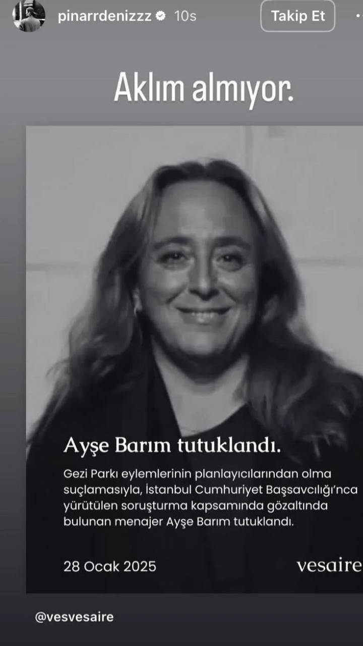 Ayşe Barım Gezi soruşturmasında tutuklandı: Ünlülerden destek yağdı 3